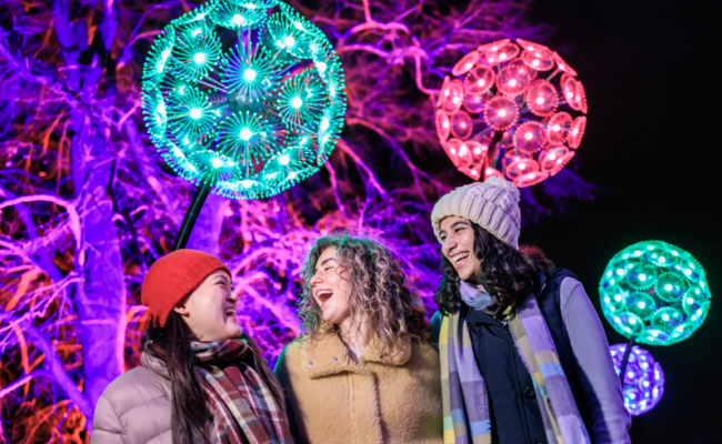 Giant dandilions lights light a group of friends in a night time setting