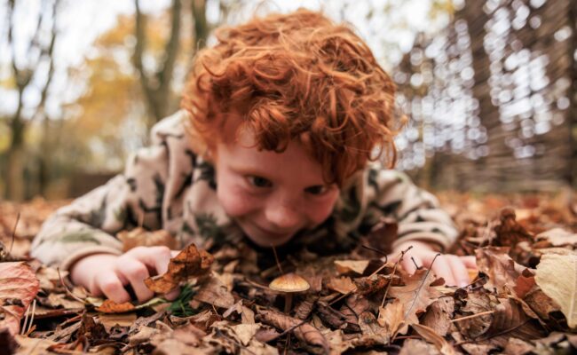 Boy inspects mushroom on forest floor