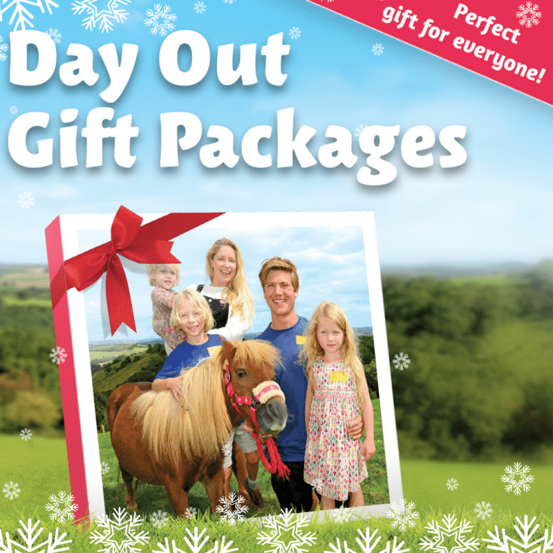 Pennywell day out and gift packages