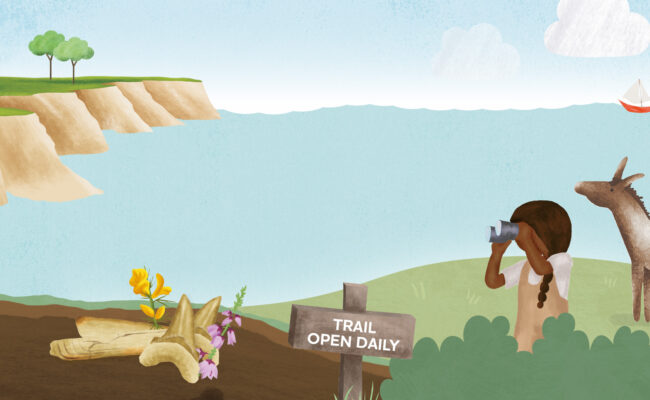 illustrated coast and cliffs with girl with binoculars and a donkey