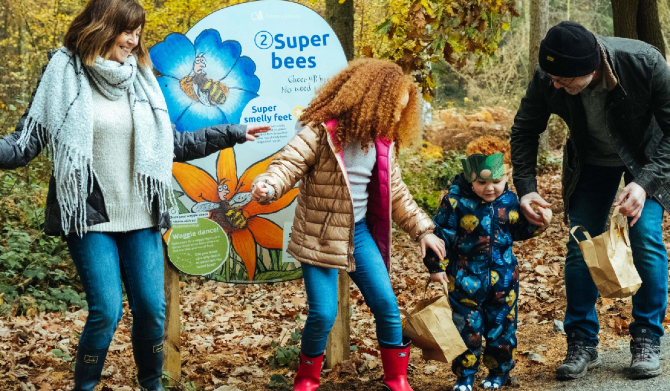 Superworm family - credit Forestry England - Haldon Forest Park, Devon