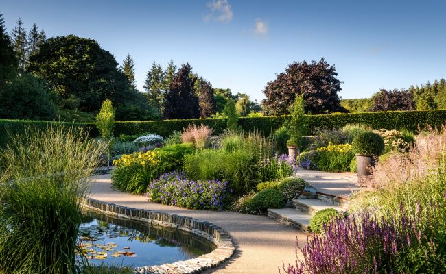 RHS Garden Rosemoor - The Cool Garden