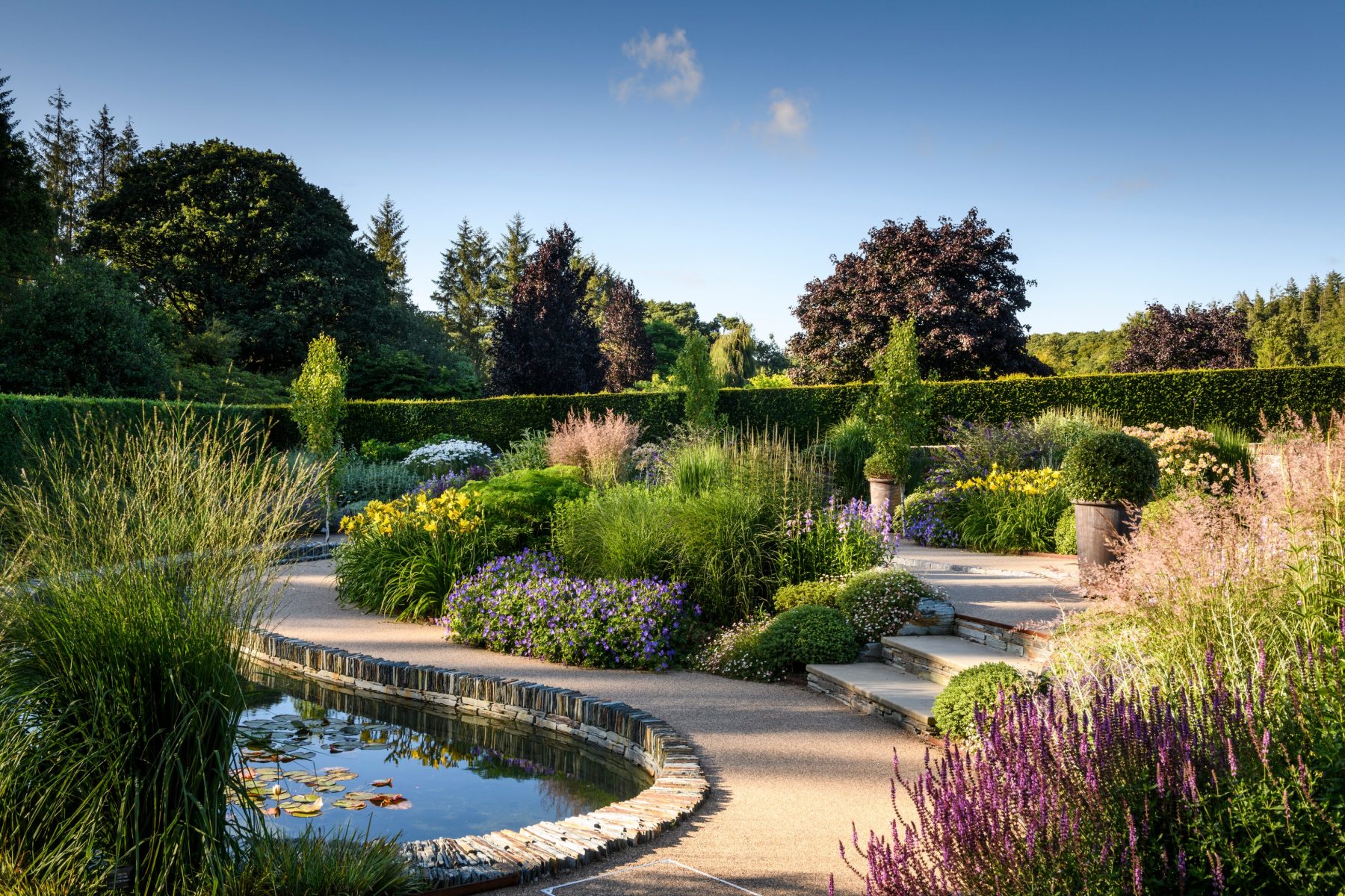 RHS Garden Rosemoor - The Cool Garden