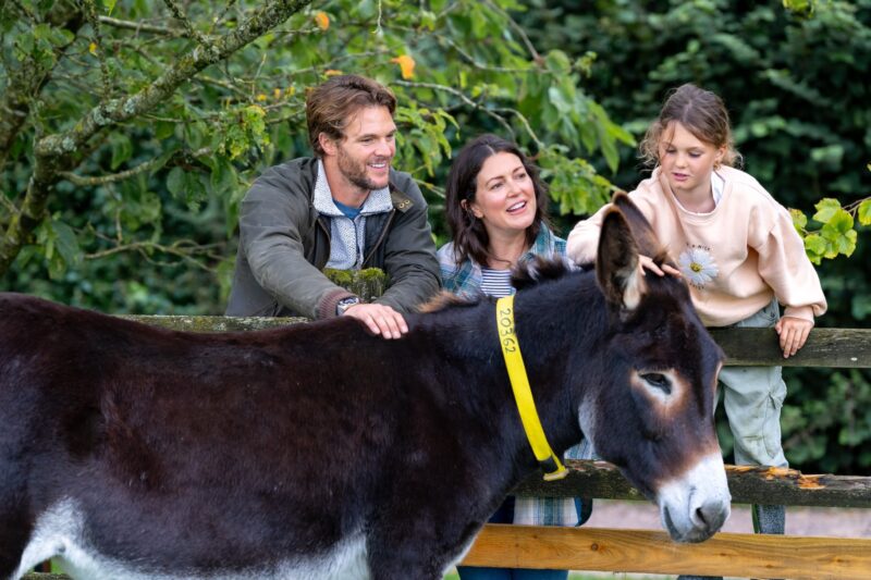 Donkey Sanctuary 2025