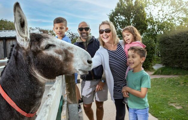 TheDonkeySanctuary_116_7954_EDIT