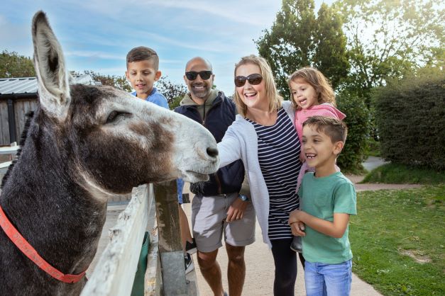 TheDonkeySanctuary_116_7954_EDIT