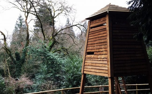 Observation Tower Bird watching