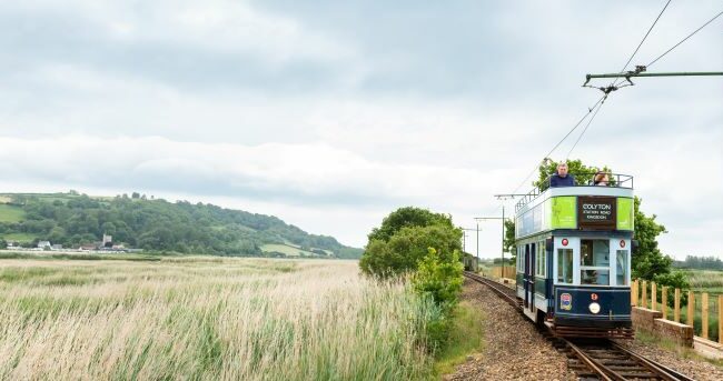 Tram 9 at Wetlands Halt sm