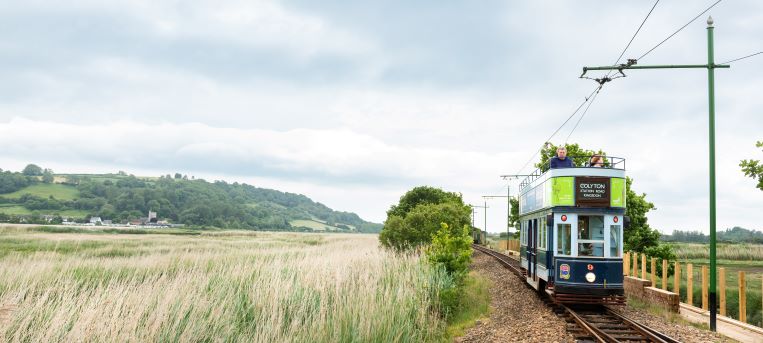 Tram 9 at Wetlands Halt sm