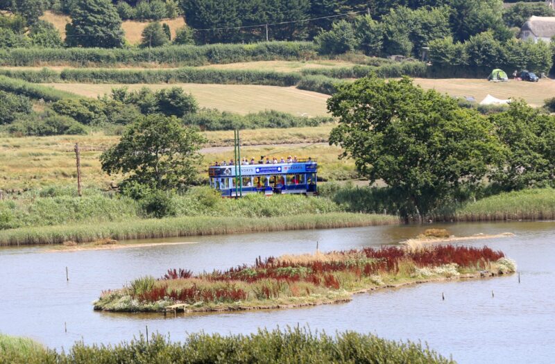 Tram 9 seen from Seaton Wetlands.