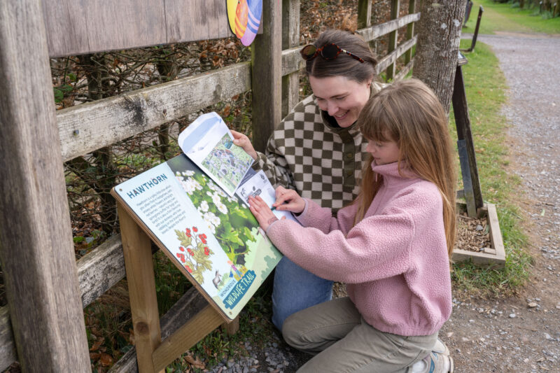 spring trail mother and daughter at board