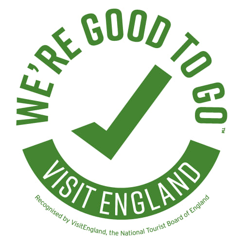 VE We're Good to Go logo