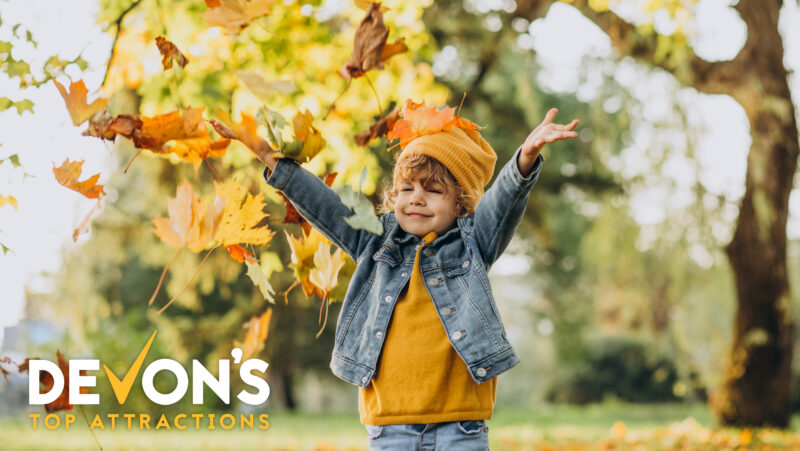 October half term in Devon 