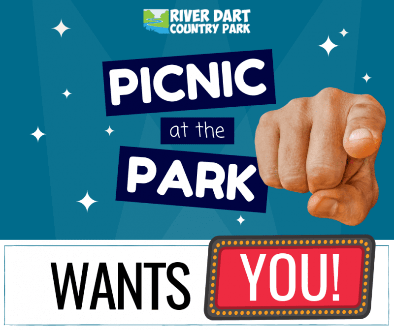 Are you part of a group or act that would relish the chance to perform for the large crowds at Picnic at the Park 2019?