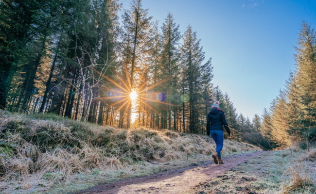 A walker on a frosty forest road at sunset