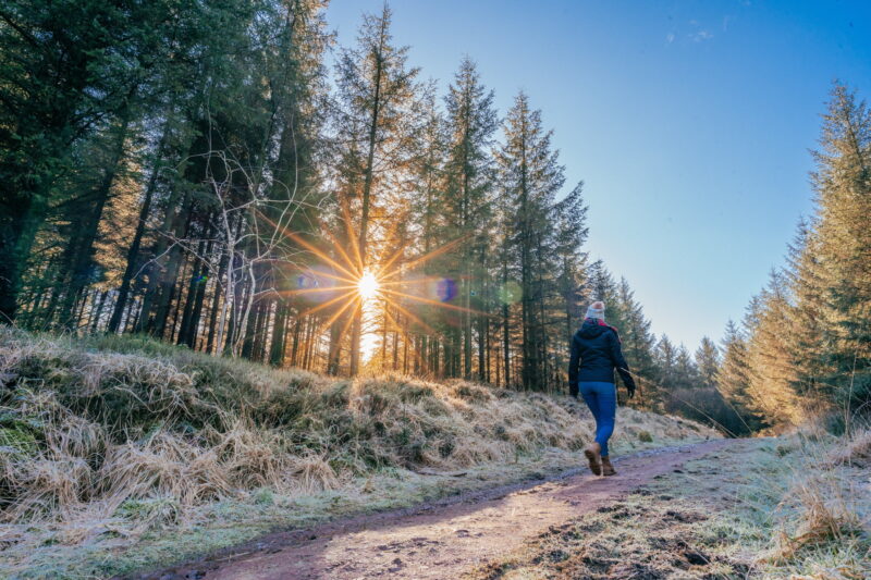 A walker on a frosty forest road at sunset