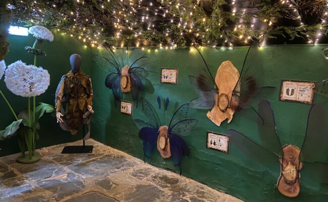 Watermouth Castle - Fairy Museum