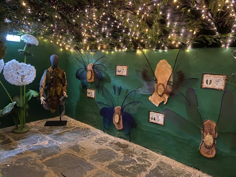 Watermouth Castle - Fairy Museum