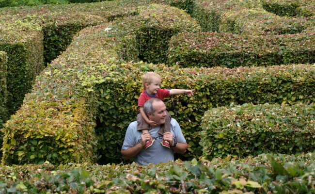 Watermouth Castle Maze