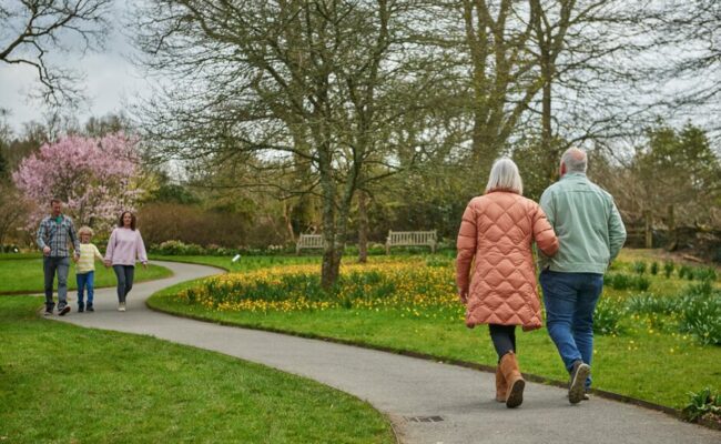 Walk at Rosemoor