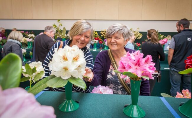 Women admire flowers
