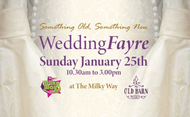 Wedding fayre devon 2026