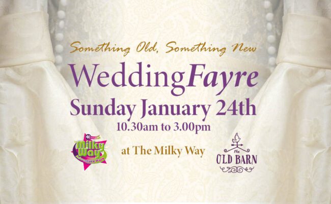 Wedding fayre devon 2027