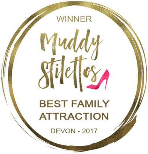 Devon award