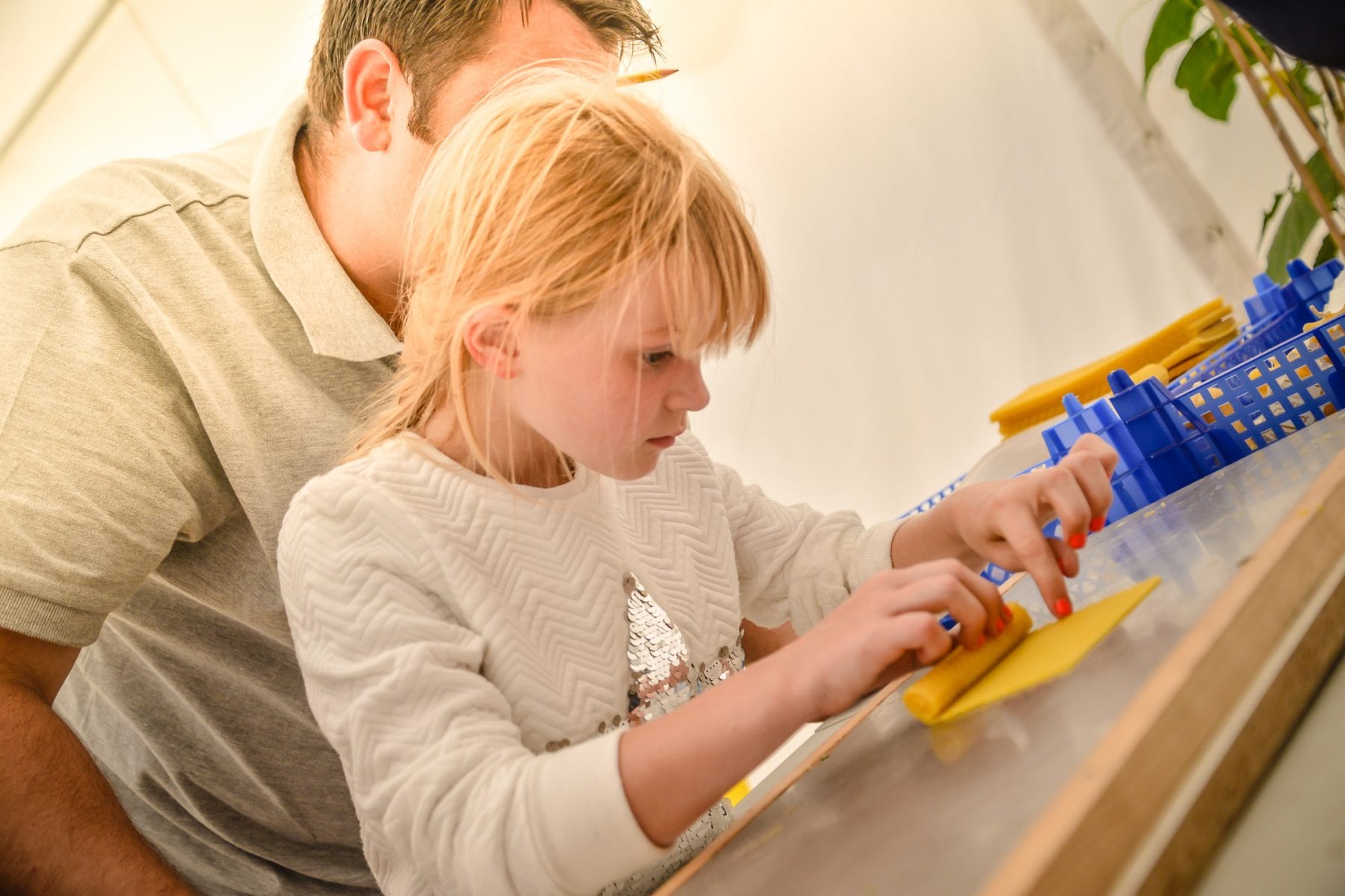 a child rolling a beeswax candle to take home