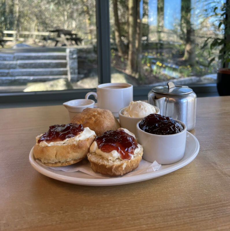 Becky Falls cream tea