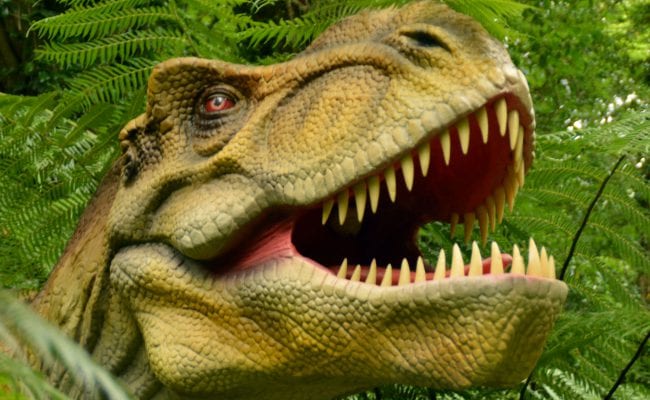 T-REX
