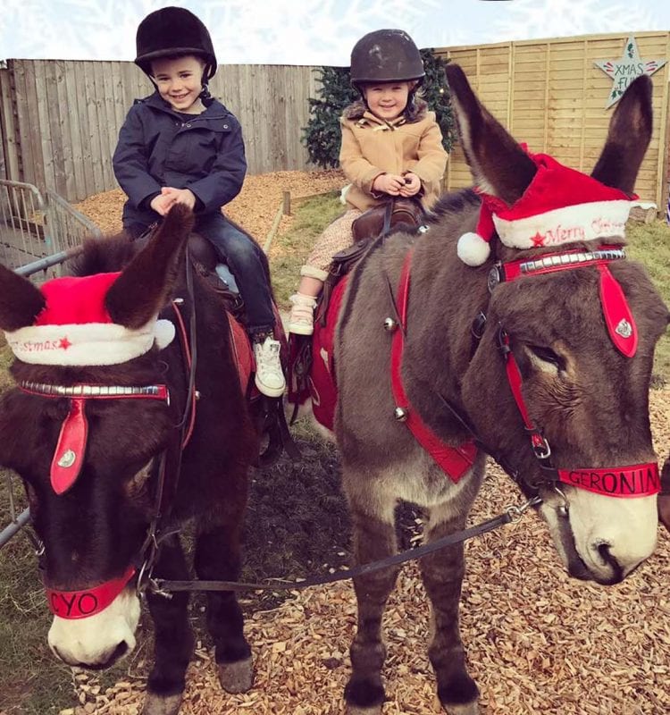 Santa by donkey at Quince Honey Farm in Devon 