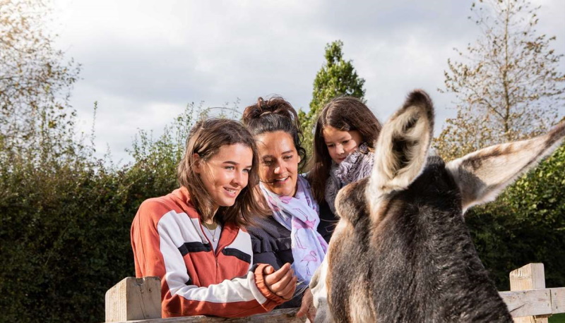 Family petting donkey at The Donkey Sanctuary