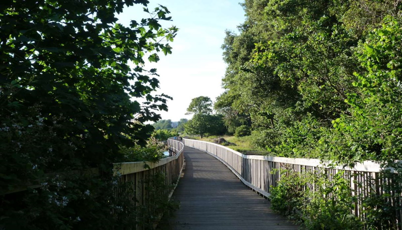 Exe Estuary Trail Walkway