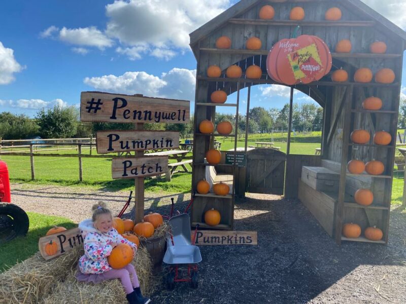 Pennywell pumpkin patch