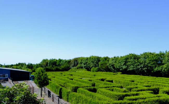 maze
