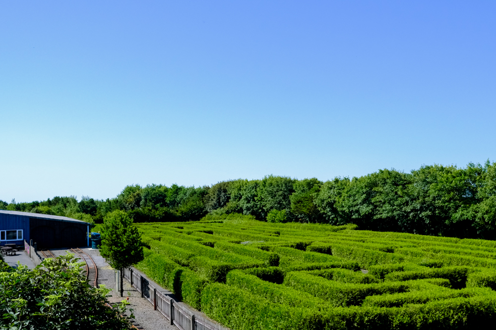 maze