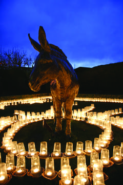 \Donkey sanctuary Carols by candlelight
