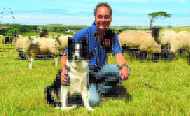 Rick Turner Big Sheep and Chairman