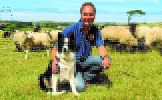 Rick Turner Big Sheep and Chairman