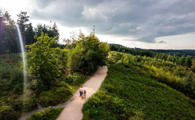 Aerial perspective of a wide forest trail following a parent with a pushchair