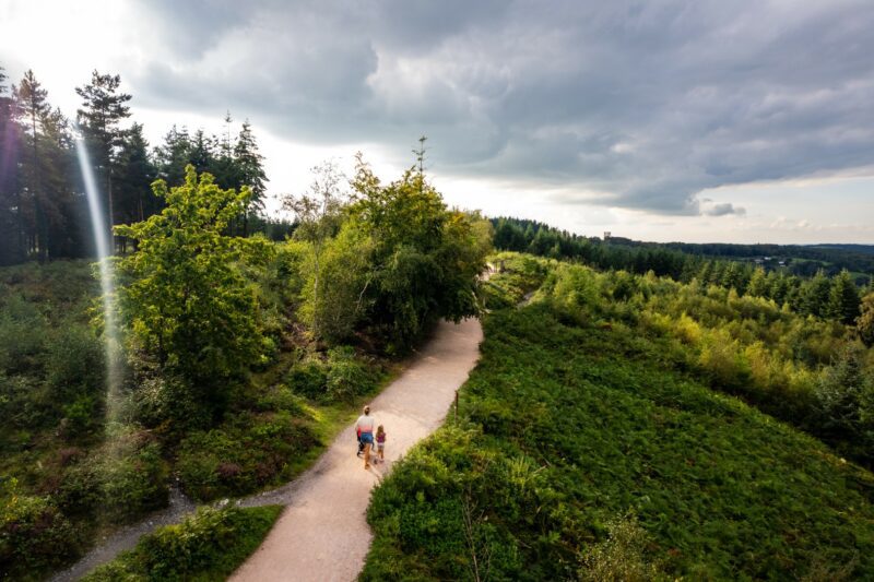 Aerial perspective of a wide forest trail following a parent with a pushchair