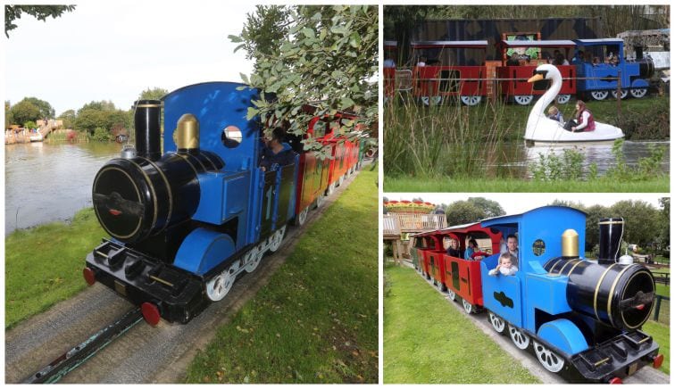 family on train ride, children on swan water activity