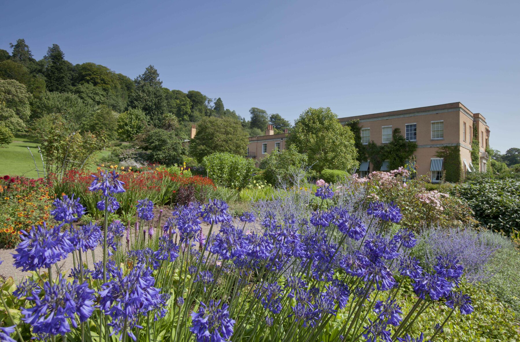 National Trust Killeton - ImagesChris Lacey..